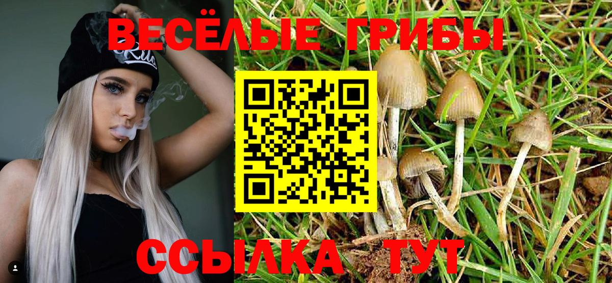 Галлюциногенные грибы ЛСД Тамбов