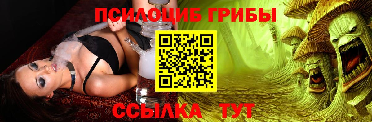 Тамбов  Псилоцибиновые грибы Psilocybine cubensis  купить закладку  Вход с VPN  Псилоцибиновые грибы прущие грибы 
